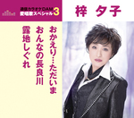 通信カラオケＤＡＭ愛唱歌スペシャル３　おかえり…ただいま／おんなの長良川／露地しぐれ