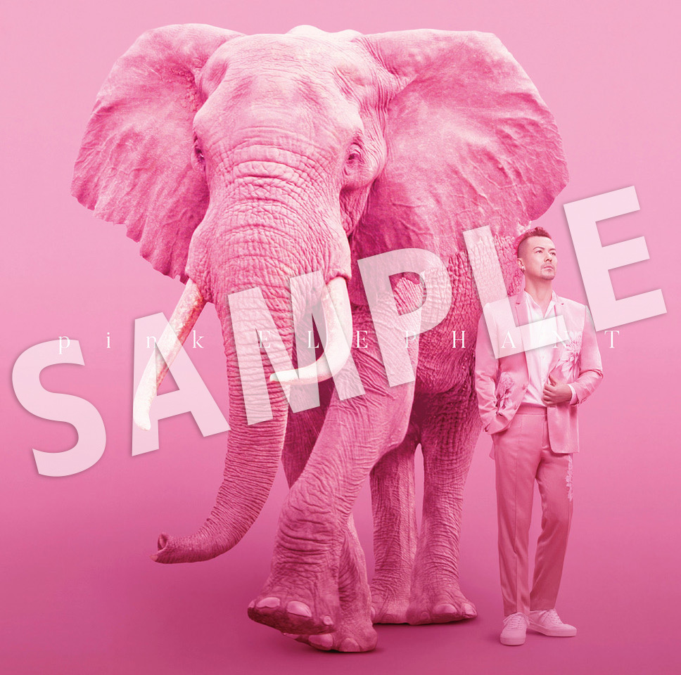 米倉利紀1 22発売アルバム Pink Elephant Cdショップ別オリジナル特典 第二弾発表 米倉利紀 徳間ジャパン