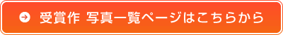 詳しい応募規約・応募方法を読む