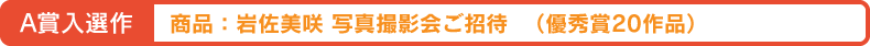 A賞入選作一覧