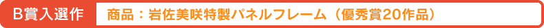 B賞入選作一覧