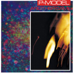 P-MODEL / ANOTHER GAME